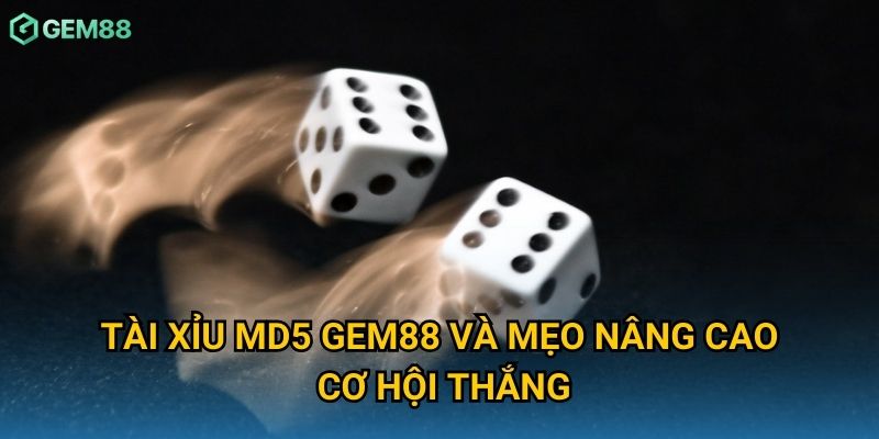 Tài xỉu MD5 Gem88 và mẹo nâng cao cơ hội thắng Tài xỉu MD5 Gem88 và mẹo nâng cao cơ hội thắng